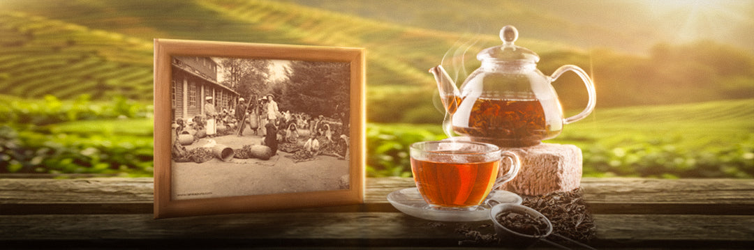 Cover Image for Legacy of Ceylon Tea: The Story of Hidden Hills