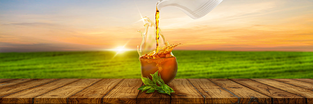 Cover Image for The Hidden Gem of Ceylon Why Hidden Hills Tea Stands Apart