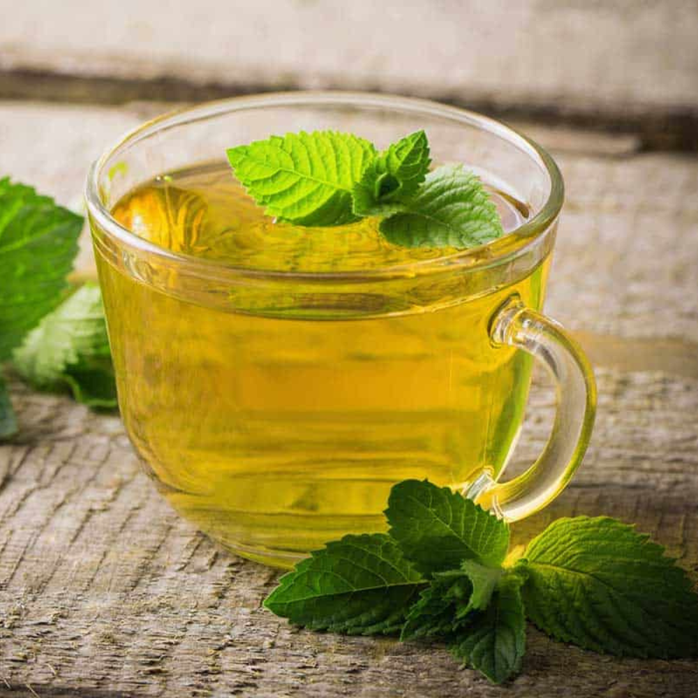 Mint Green Tea Bags